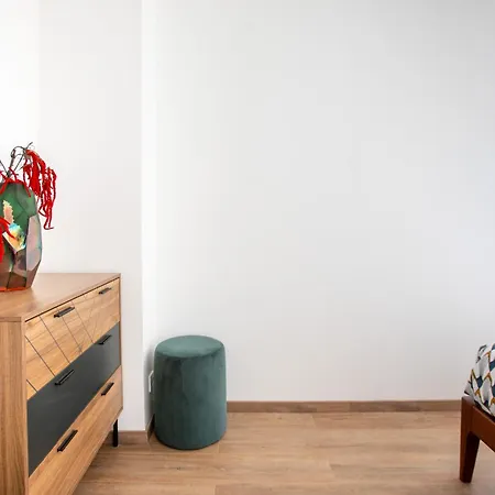 Daire Newly Renovated - Historical Center *