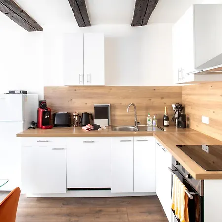 Newly Renovated - Historical Center Daire Colmar