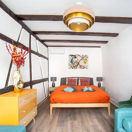 Apartment Newly Renovated - Historical Center Colmar