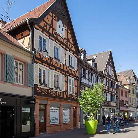Newly Renovated - Historical Center * Colmar