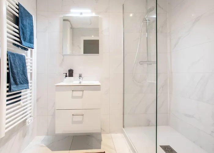 Newly Renovated - Historical Center Daire Colmar