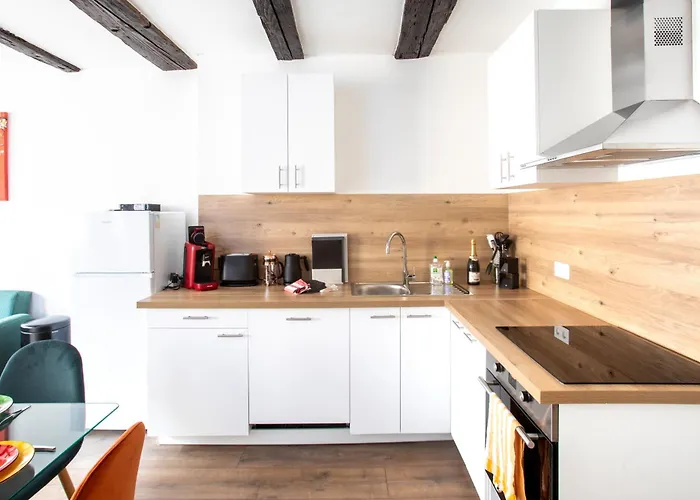 Newly Renovated - Historical Center Daire Colmar
