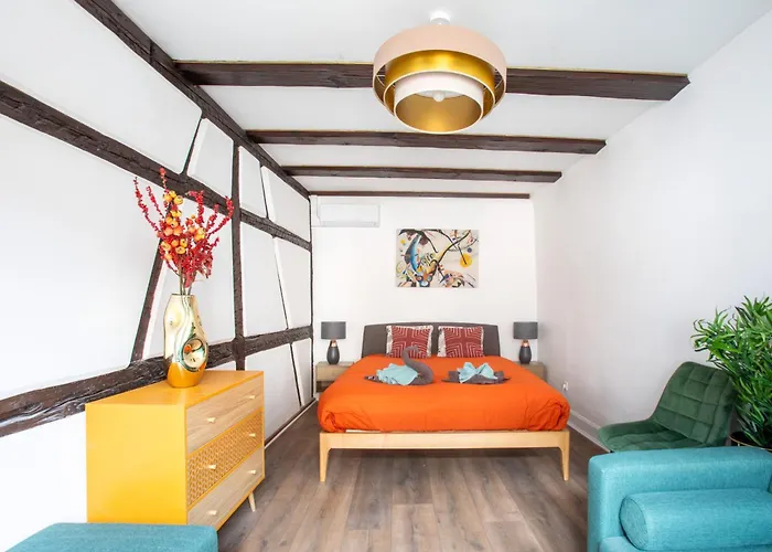 Daire Newly Renovated - Historical Center Colmar