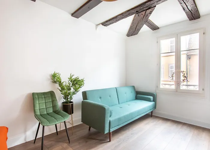 Newly Renovated - Historical Center Daire Colmar